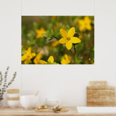 黄色いフラワーポスター ポスター (キッチン)