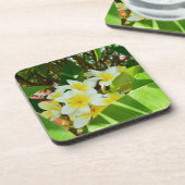 黄色いフランジパニスは木の上に生えていた。 コースター (左側)