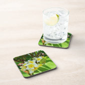 黄色いフランジパニスは木の上に生えていた。 コースター (右側)