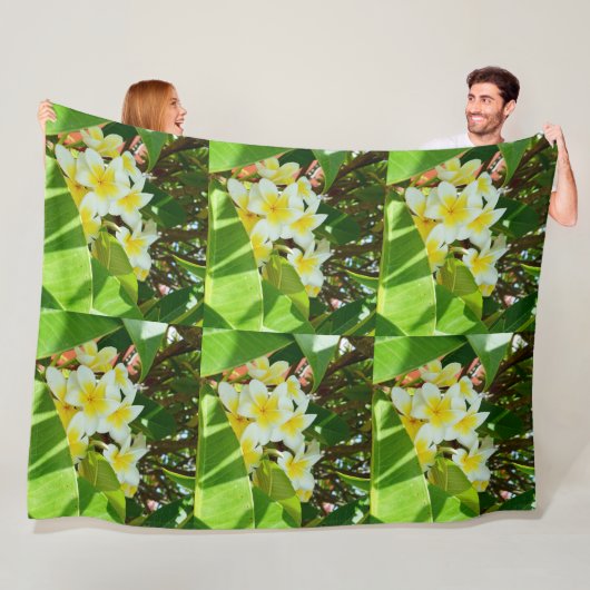 黄色いフランジパニスは木の上に生えていた。 フリースブランケット (インサイチュ)