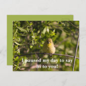 黄色いベビー鳥と励ましのグリーティングカード ポストカード (正面/裏面)