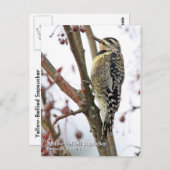 黄色いベリーのサプスカーはがき ポストカード (正面/裏面)