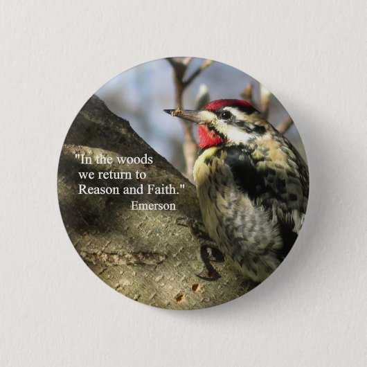 黄色いベリーのサプスカーボタン。 缶バッジ (正面)