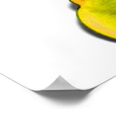 黄色いボンネットで笑う骨格女性 ポスター (角)