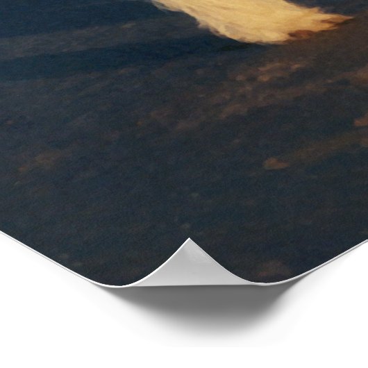 黄色いボールで遊ぶウェスティのポスター ポスター (角)