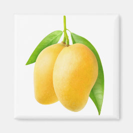 黄色いマンゴーの果実が2つ マグネット