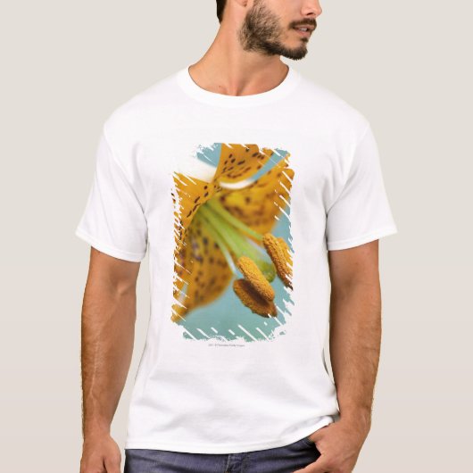 黄色いユリの閉めて下さい Tシャツ (正面)