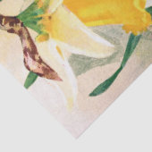 黄色いラッパスイセンおよび白いティッシュペーパー17x23 薄葉紙 (詳細)