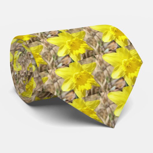 黄色いラッパスイセンによっては人のネクタイが開花します ネクタイ (ロール)