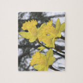 -黄色いラッパスイセンに上向きに達すること ジグソーパズル (縦)