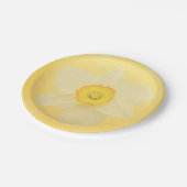 黄色いラッパスイセン ペーパープレート (アングル)