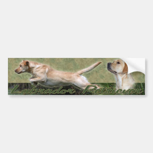黄色いラブラドル・レトリーバー犬のコラージュのバンパーステッカー バンパーステッカー