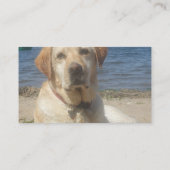 黄色いラブラドル・レトリーバー犬犬の名刺 名刺 (裏面)