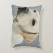 黄色いラブラドル・レトリーバー犬 アクセントクッション (裏面(縦))