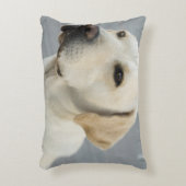 黄色いラブラドル・レトリーバー犬 アクセントクッション (正面(垂直))