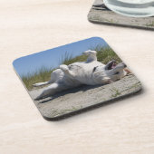 黄色いラブラドル・レトリーバー犬 コースター (左側)