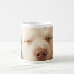 黄色いラブラドル・レトリーバー犬 コーヒーマグカップ