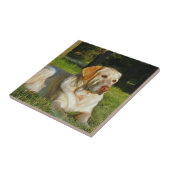 黄色いラブラドル・レトリーバー犬 タイル (側面)