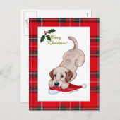 黄色いラブラドールのクリスマスのサンタの帽子のタータンチェック シーズンポストカード (正面/裏面)
