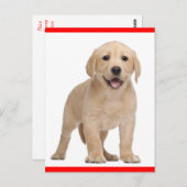 黄色いラブラドールレトリーバー子犬用はがき ポストカード (正面/裏面)