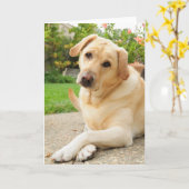 黄色いラブラドール犬 カード (黄色い花)
