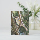 黄色いランピングされたウォーブラー写真はがき ポストカード (スタンド正面)