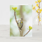 黄色いランピングのワルブラー、女性 カード (黄色い花)