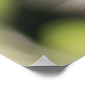 黄色いルベキア花 ポスター (角)