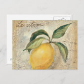 黄色いレモンの実 ポストカード (正面/裏面)