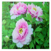 黄色い中心の優雅なピンクのシャクヤクの花 タイル (正面)