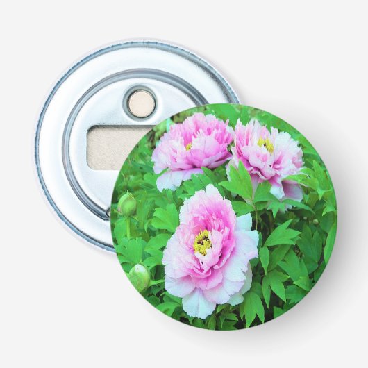 黄色い中心の優雅なピンクのシャクヤクの花 栓抜き (正面)