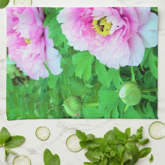 黄色い中心の優雅なピンクの庭牡丹の花 キッチンタオル (折り畳み)