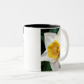 黄色い中心を持つWhteのラッパスイセン ツートーンマグカップ (正面右)
