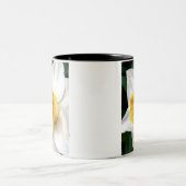 黄色い中心を持つWhteのラッパスイセン ツートーンマグカップ (中央)