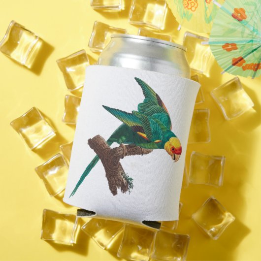黄色い冠を持つオウム 缶クーラー (インサイチュ 夏)