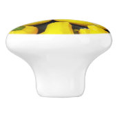 黄色い冬のカボチャがオン セラミックノブ (側面)