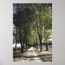 黄色い切り札のポスター