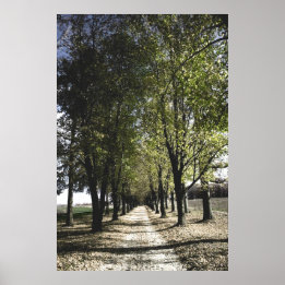 黄色い切り札のポスター ポスター