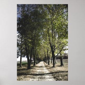 黄色い切り札のポスター ポスター