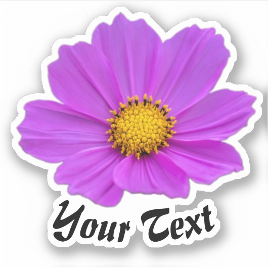 黄色い切手を春にしたピンクの花花びら シール (正面)