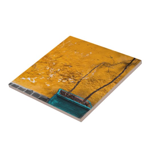 黄色い壁 タイル (側面)