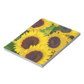 黄色い夏のひまわり ノートパッド (回転)