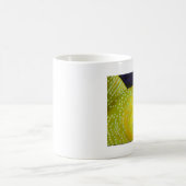 黄色い夜警のハゼの魚 コーヒーマグカップ (中央)