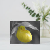 黄色い女性スリッパ白黒の花柄の郵便はがき ポストカード (スタンド正面)