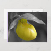 黄色い女性スリッパ白黒の花柄の郵便はがき ポストカード (正面/裏面)