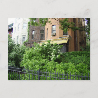 黄色い屋根と庭 ポストカード