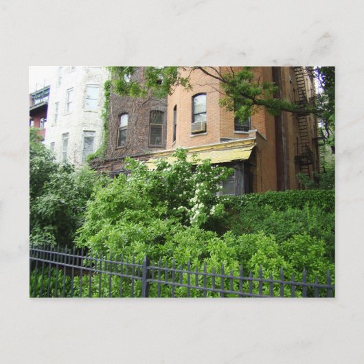 黄色い屋根と庭 ポストカード (正面)