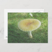 黄色い巨大キノコのはがき ポストカード (正面/裏面)