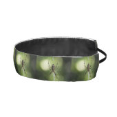 黄色い庭のジグザグのクモ アスレチックヘッドバンド (右)