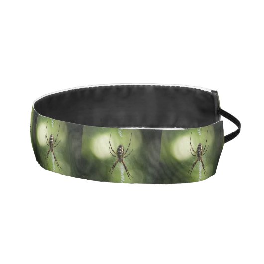 黄色い庭のジグザグのクモ アスレチックヘッドバンド (右)